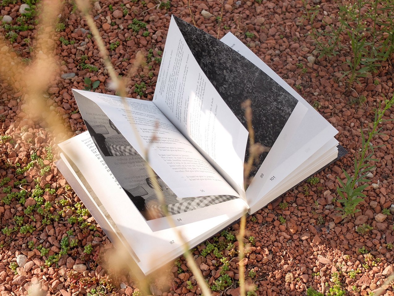 Hoog Gras in de Achtertuin book design 