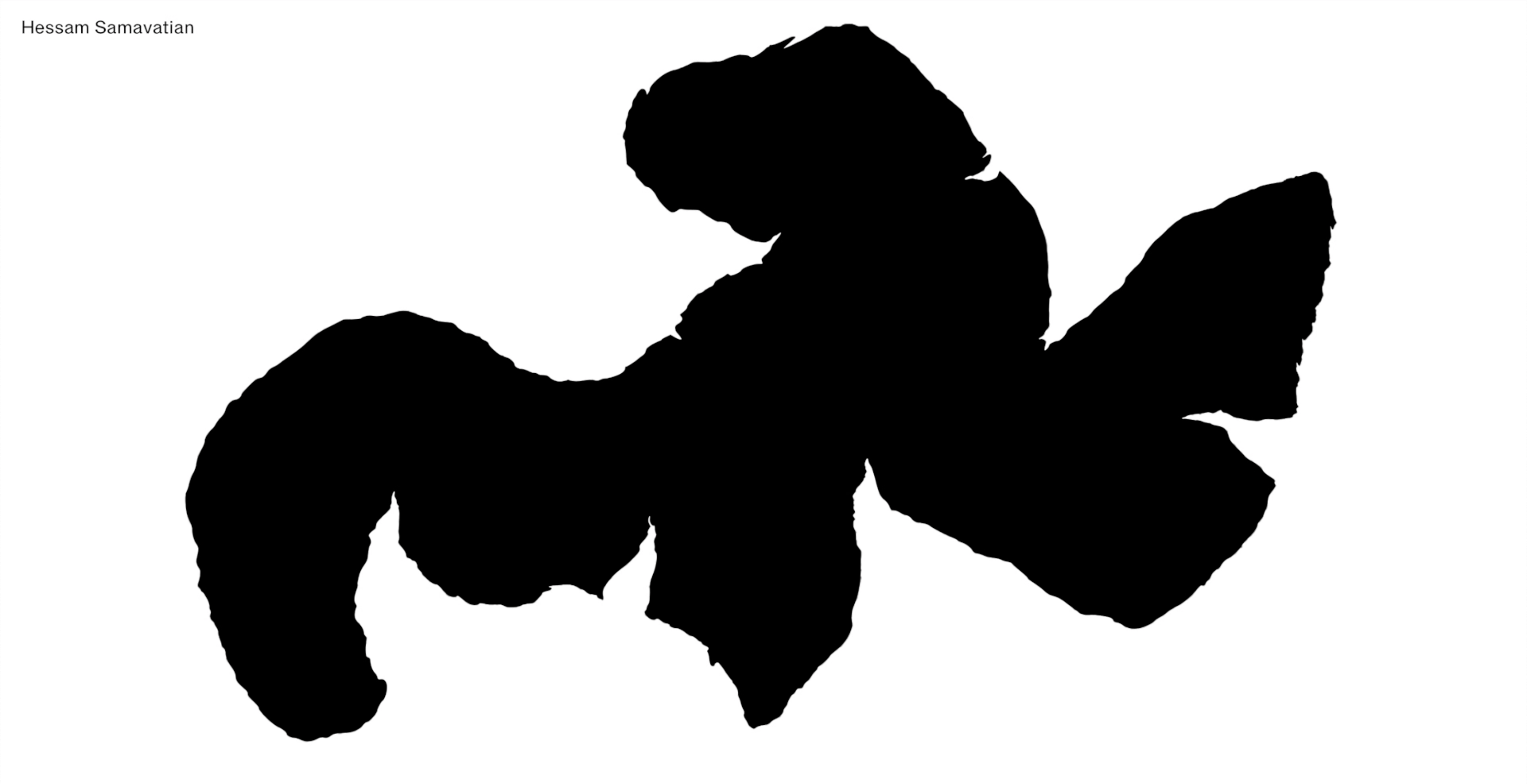 Hessam Samavatian website 