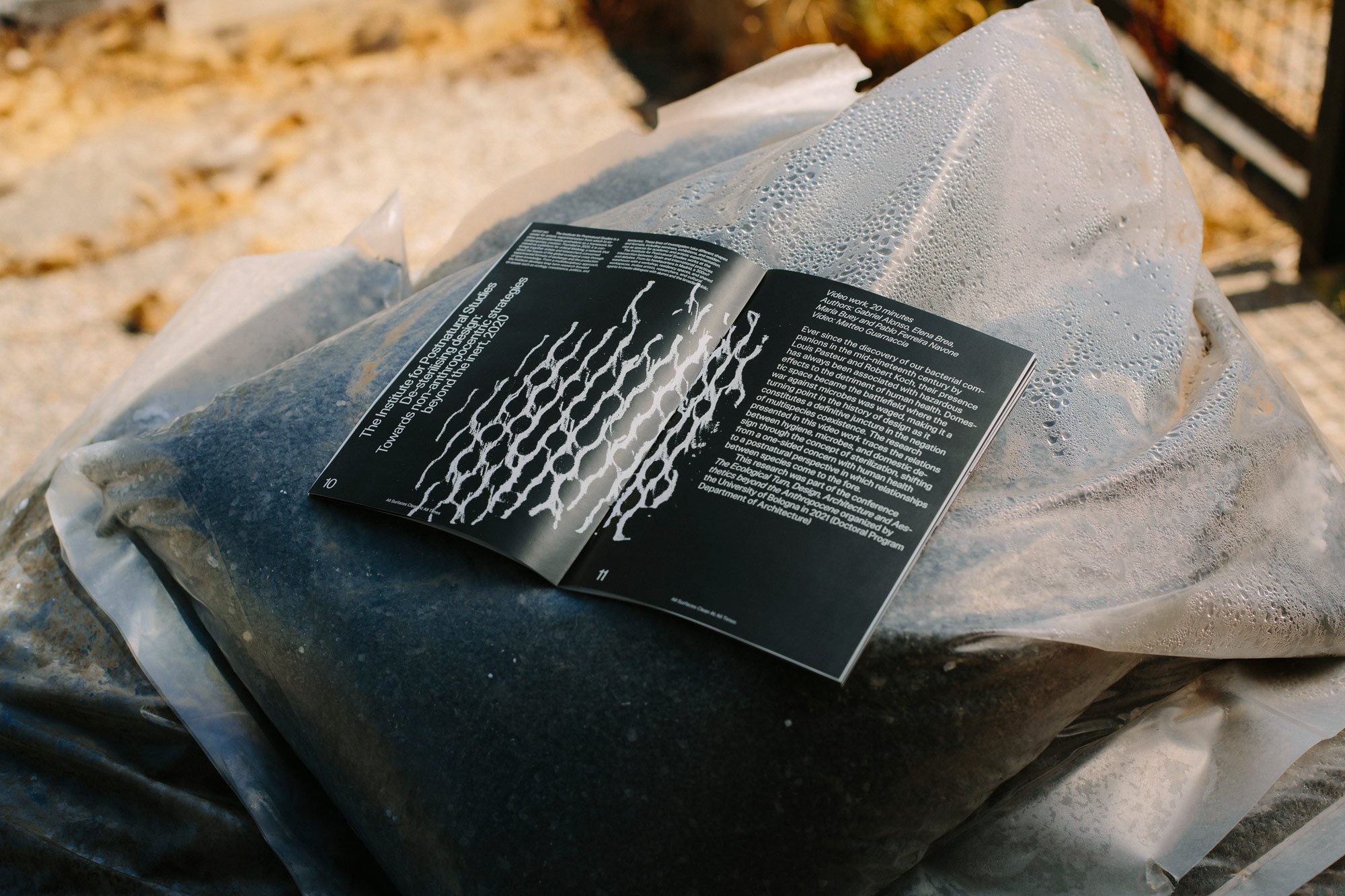 Studio Liza Borovskaya-Brodskaya